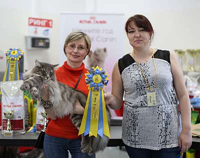   11-12  2015 WCF- 4-164-169A5384 copy.jpg